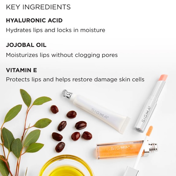 NIB Sigma Beauty Lip Care Trio (Lip Balm, Lip Gloss, Lip Mask) Makeup - Picture 6 of 11